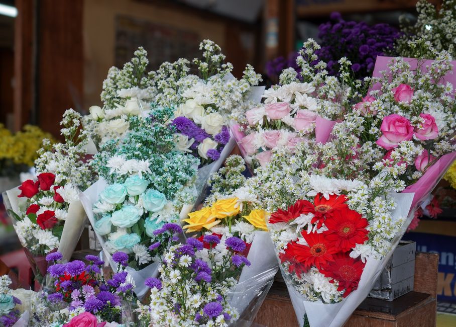 A vibrant display of floral bouquets featuring a variety of fresh flowers arranged in conical wrapping paper. Prominently, there are bouquets with pink roses, red gerbera daisies, yellow roses, purple