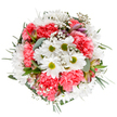 This bouquet encapsulates Chingford's enduring sense of renewal and warmth, elegantly displayed from above against a pristine white field. At its core, crisp white daisies encircle luminous lime-green eyes, exuding clarity and innocence, while luxuriously ruffled coral-pink carnations ripple outward, their softness recalling the blush of morning light across Lloyd Park. Threads of delicate gypsophila drift among the larger blooms, their miniature white blossoms imparting a breezy, tranquil vibe. Subtle alstroemeria buds peek from lush green foliage-silvery eucalyptus and velvety dark sprigs-adding depth, cool freshness, and a hint of woodland charm characteristic of Chingford's natural spaces. Each stem and texture is arranged with the expert care of a true local florist, balancing fullness and airiness in a circular formation that feels open yet abundant. Suitable for birthdays, anniversaries, or simply brightening someone's day, this bouquet is perfect for a doorstep surprise along Kings Head Hill or as a thoughtful centrepiece on a family table. In every detail, from the luminous colours to the harmonious structure, the bouquet embodies the spirit of Chingford-offering joy, comfort, and celebration in each fresh petal.