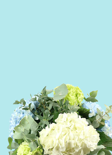 Same day Flowers Chingford